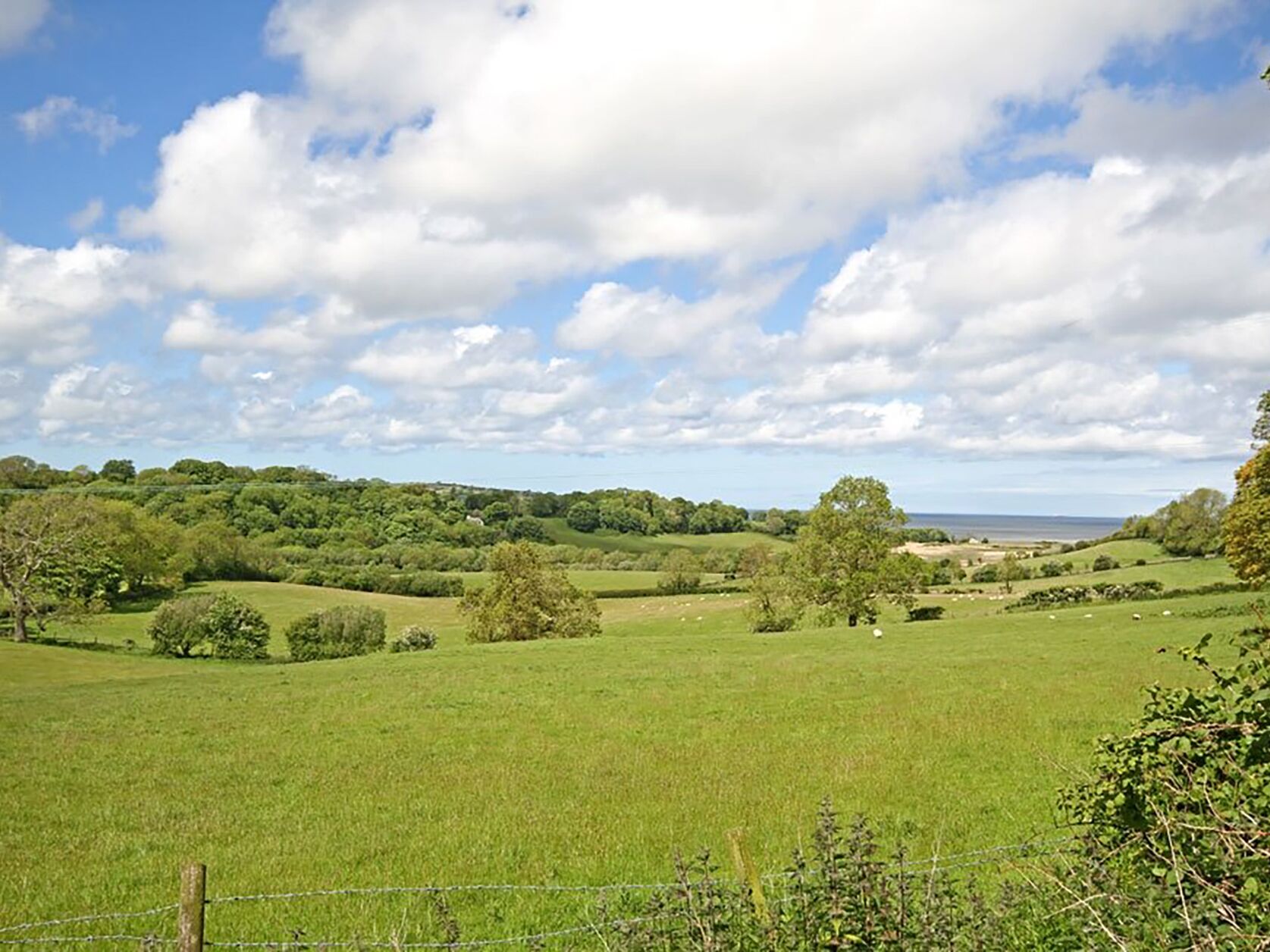Ländliche Landschaft mit sanften grünen Hügeln, vereinzelten Bäumen und blauem Himmel.
