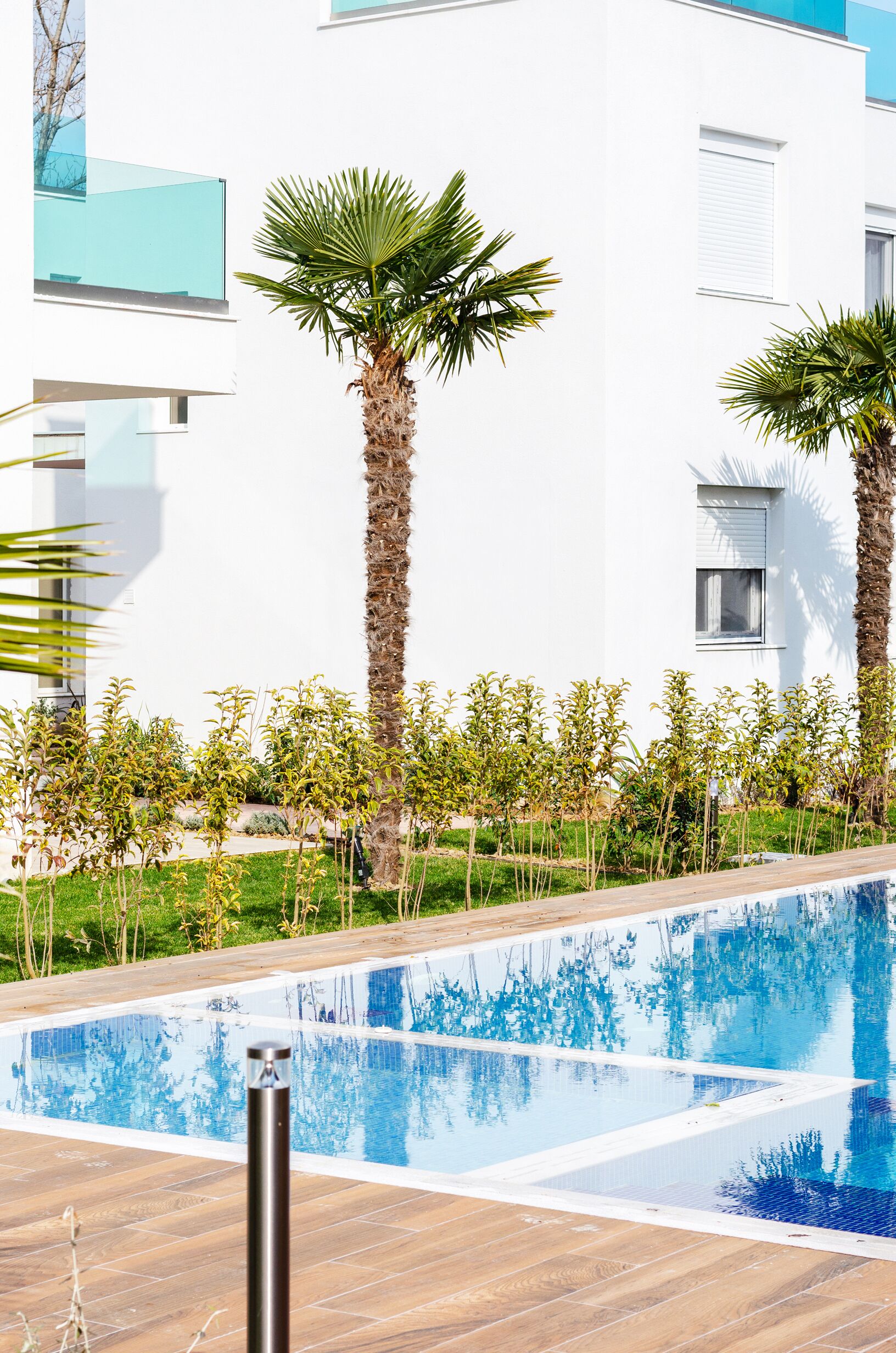 Ein Pool mit Holzterrasse, umgeben von Palmen und einem weißen Gebäude mit großen Fenstern.