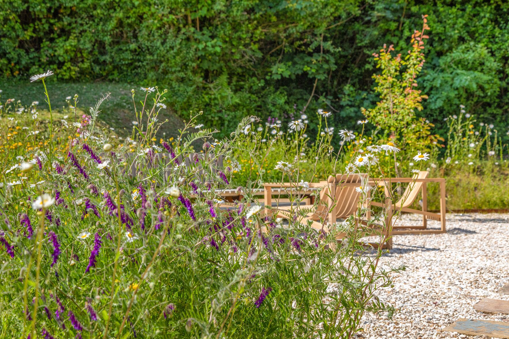 A garden with a wooden bench and a table, surrounded by various wildflowers and greenery.