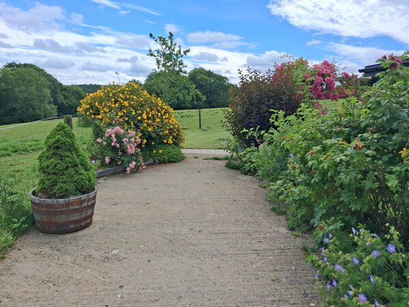 A gravel pathway surrounded by lush greenery and flowering plants. - Owl Barn (Tavistock)