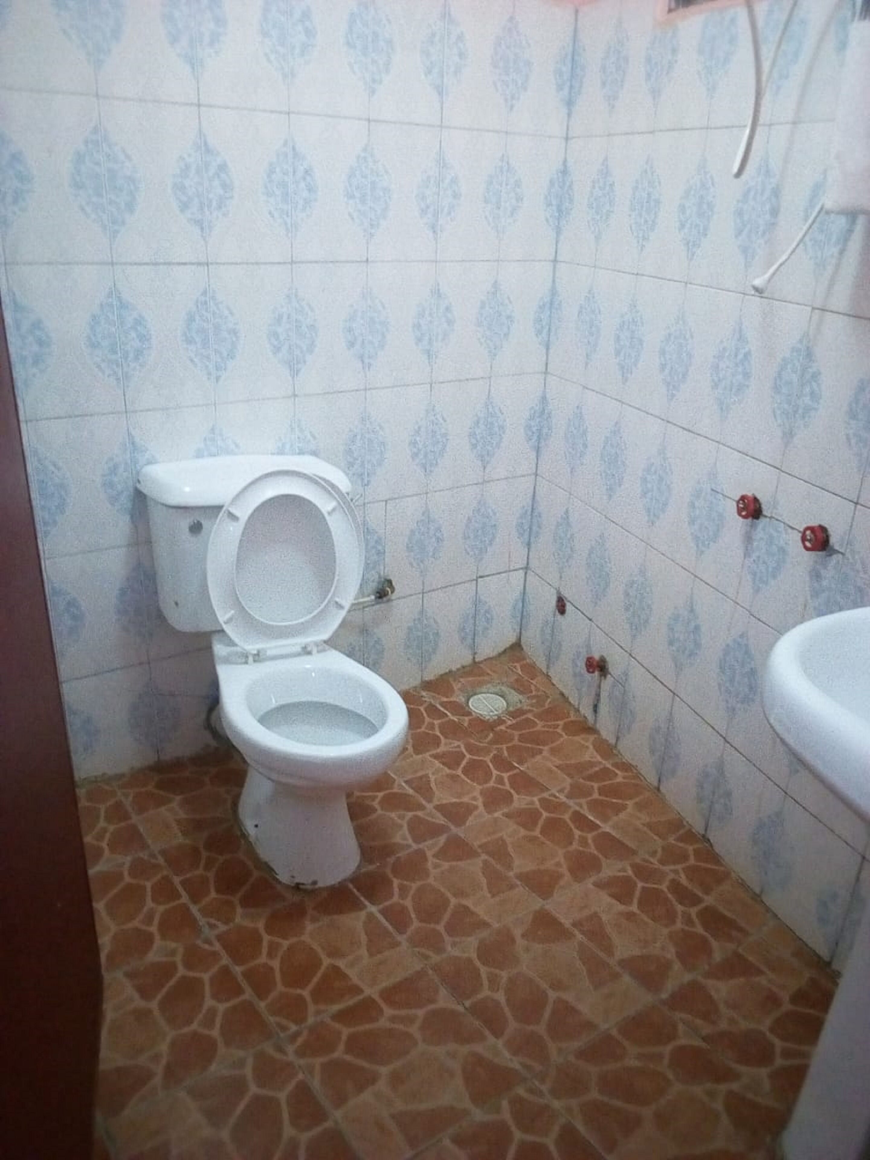 A bathroom with a toilet, a sink, and patterned tiles on the walls.
