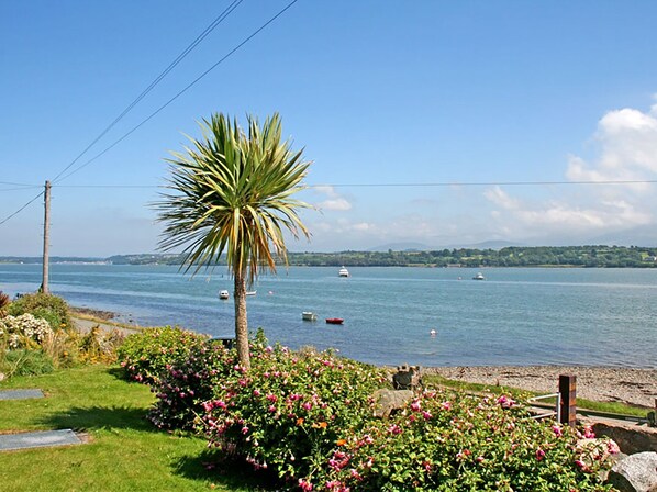 Cottage | Interior - Mermaid Cottage (Llanfairpwllgwyngyll)