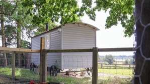 A chicken coop with a wooden structure and wire mesh, surrounded by a fenced area with trees and a clear sky. - Bellwether (York)