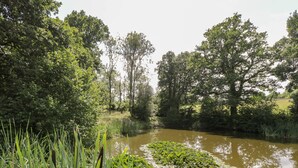 A natural landscape with a pond surrounded by lush greenery and trees. - Pond View (Fordingbridge)