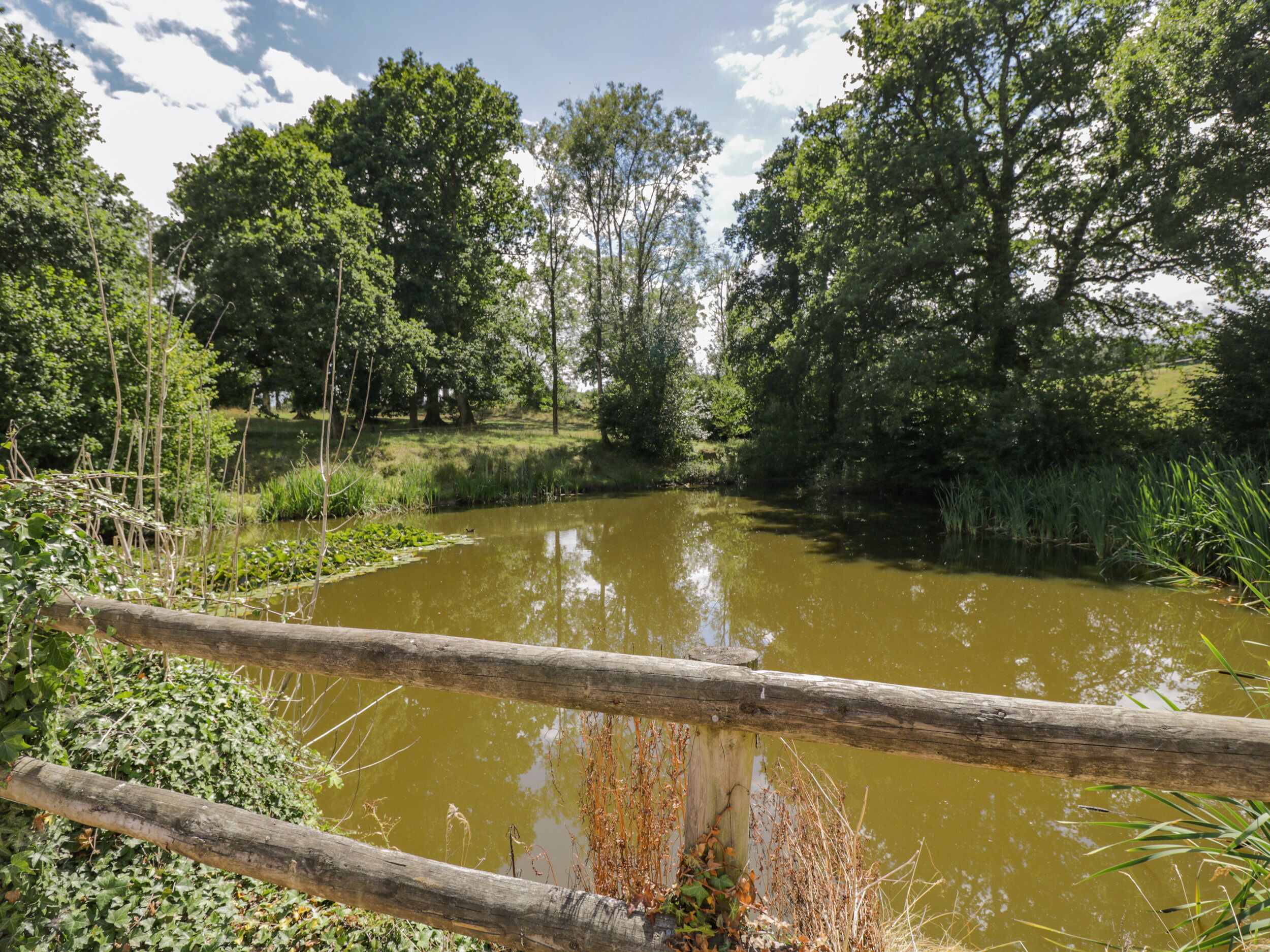 A natural landscape with a pond, surrounded by trees and vegetation.
