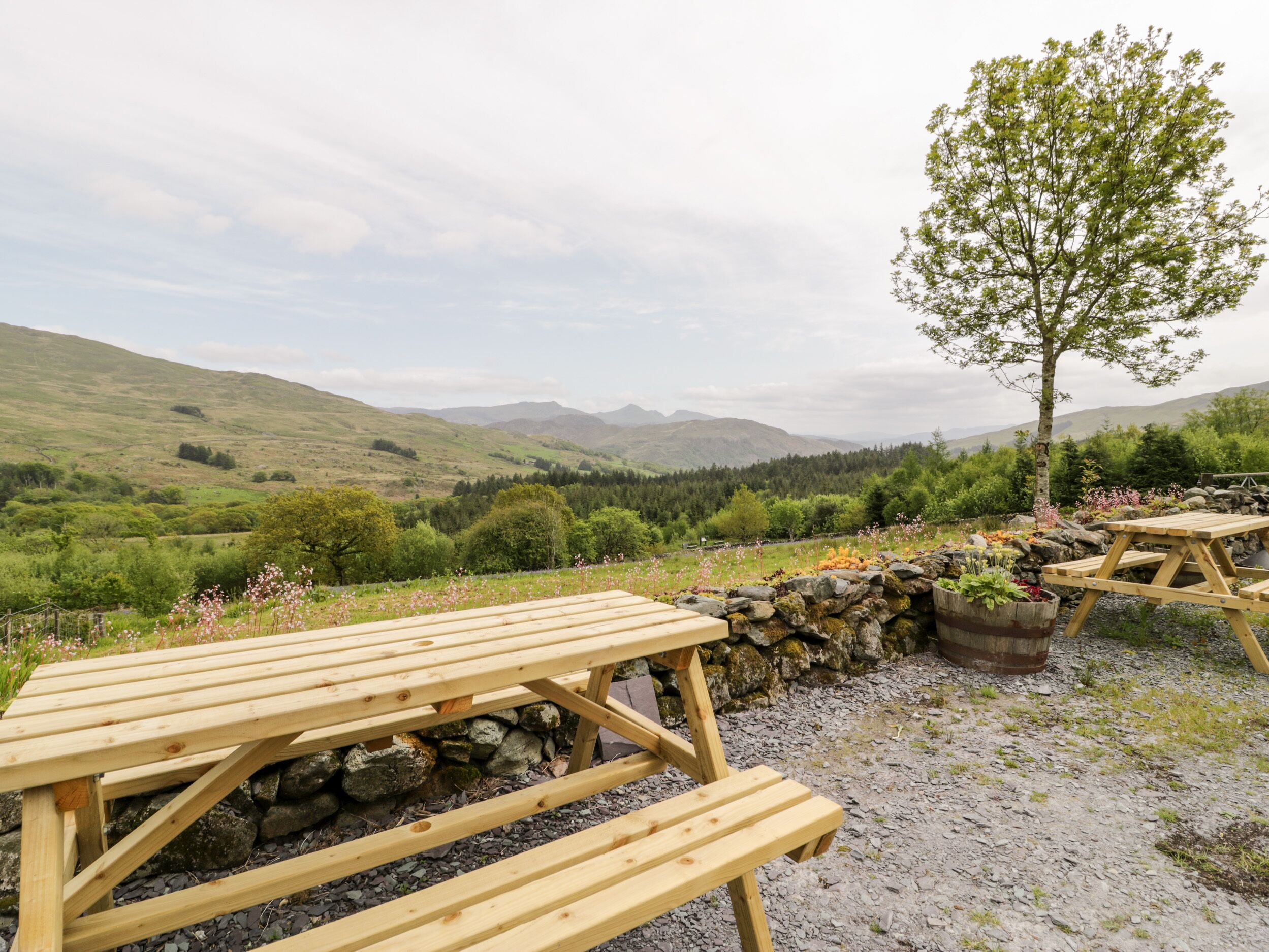Cottage | Property grounds