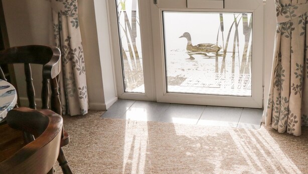 Une pièce avec une chaise en bois, un tapis à motifs et, par une porte vitrée, on peut voir un canard sur un étang.
