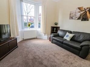 كوخ | منطقة المعيشة | تلفزيون