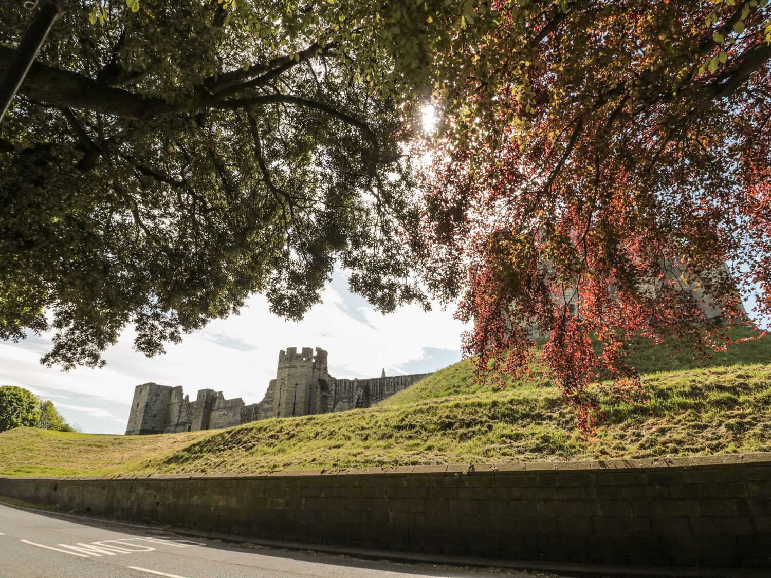 A castle on a grassy hill with a road in the foreground.