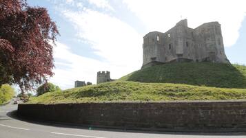 A historic castle on a grassy hill with a paved road in the foreground.