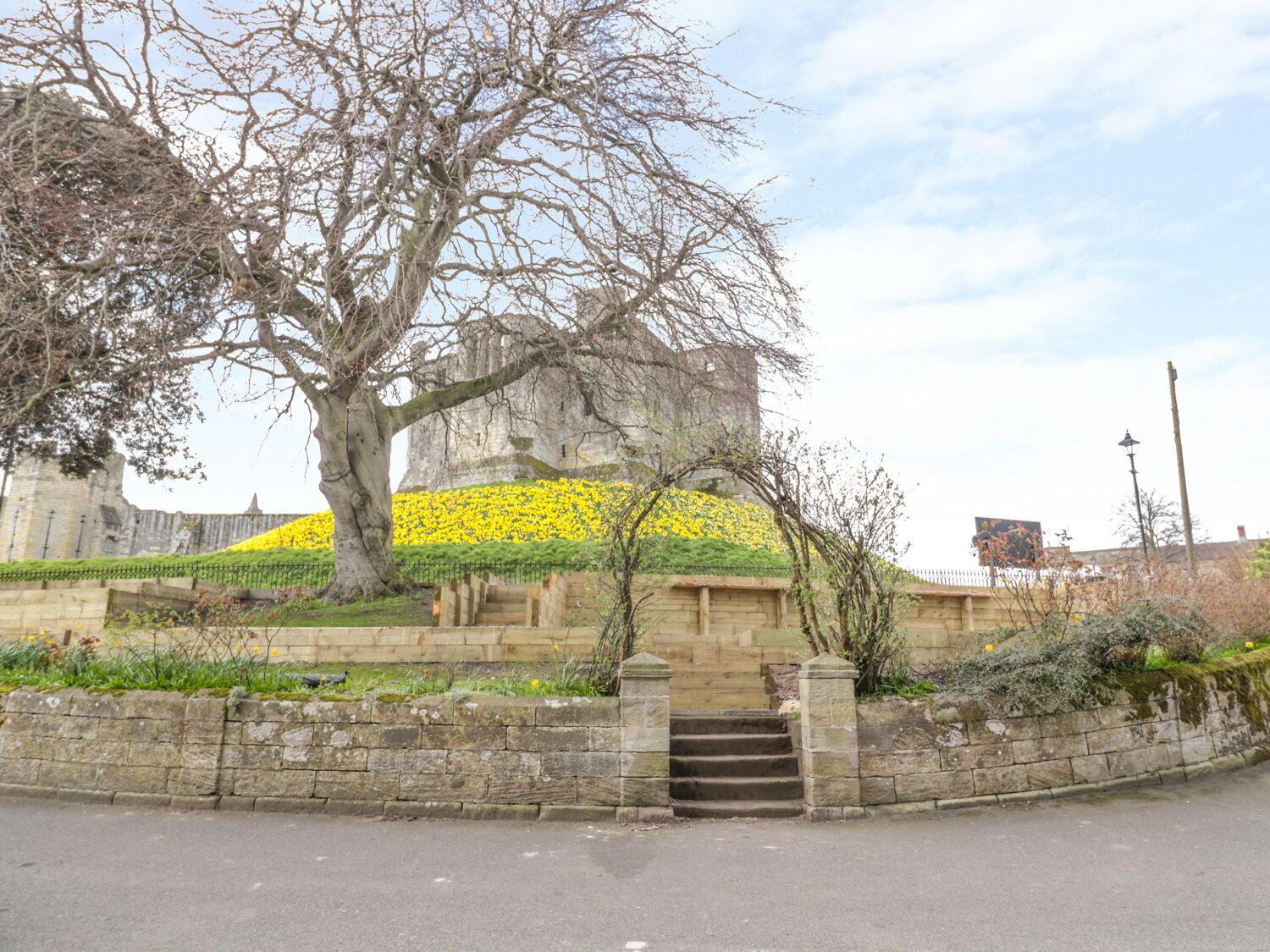 A stone wall with a staircase leading up to a hill with yellow flowers.
