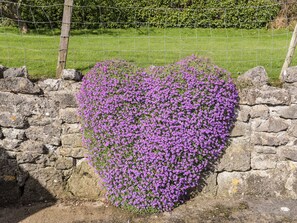 Cottage | Property grounds