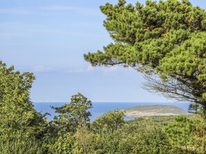 Ferienhaus | Strand