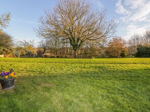 Chaumière | Terrain de l’hébergement 