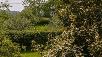 Cottage | Property grounds