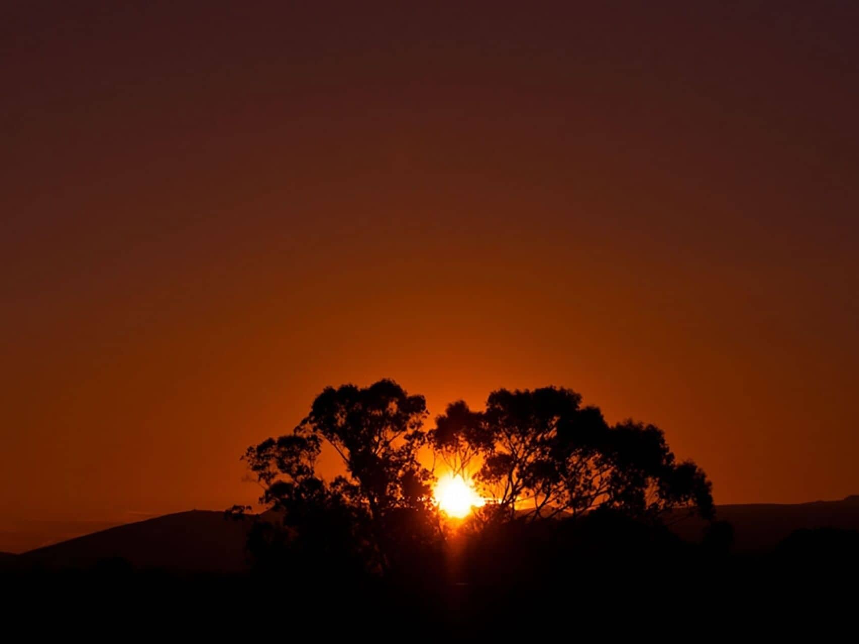 A sunset with silhouettes of trees and hills.