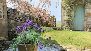 A potted purple flower on a stone patio with a stone wall and a green door in the background. - Rose Cottage (Skipton)