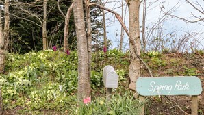 Uma caixa de correio, uma placa com a inscrição 'Spring Park' e um cachepot com diversas plantas.