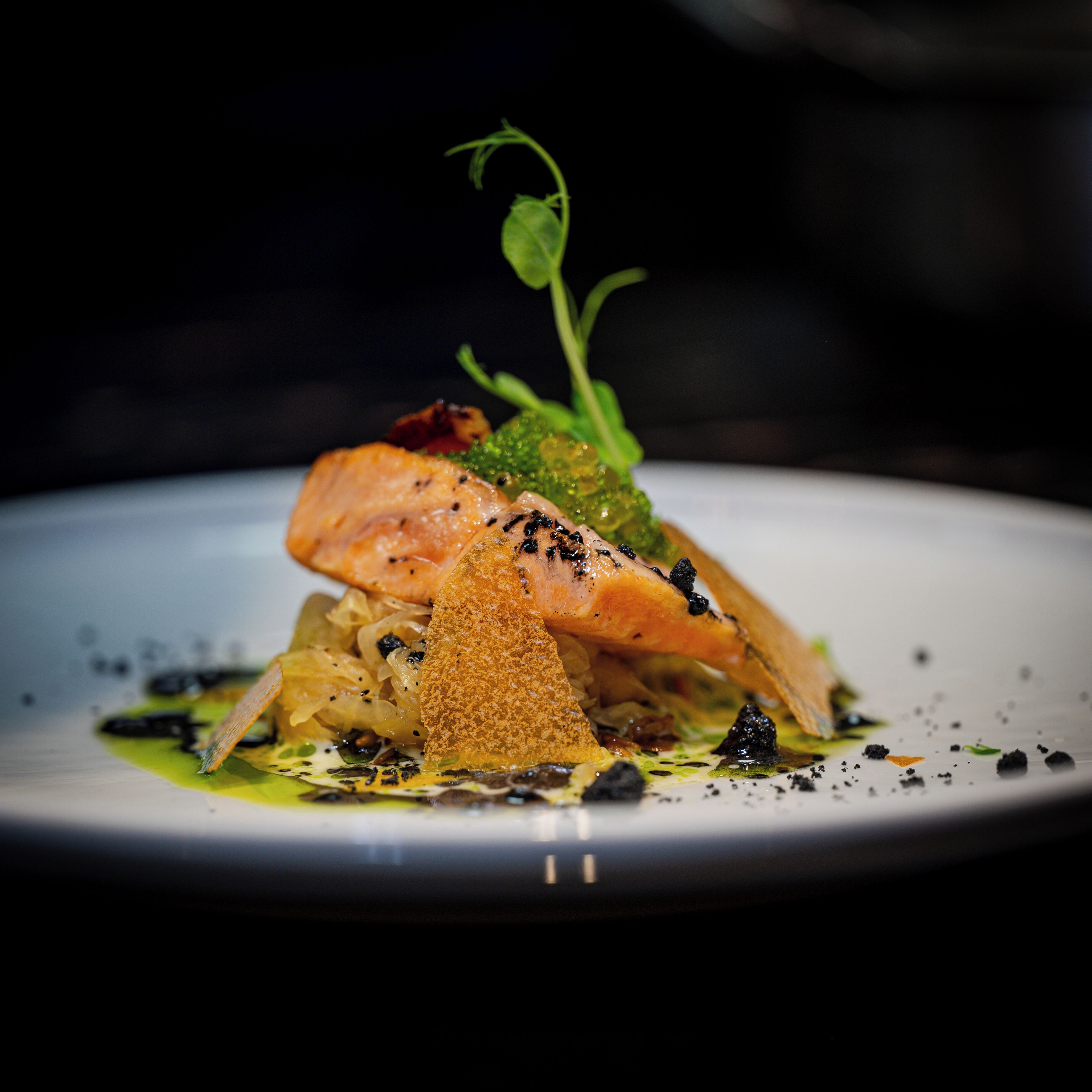 A plate of food with salmon, greens, and a small sprout.