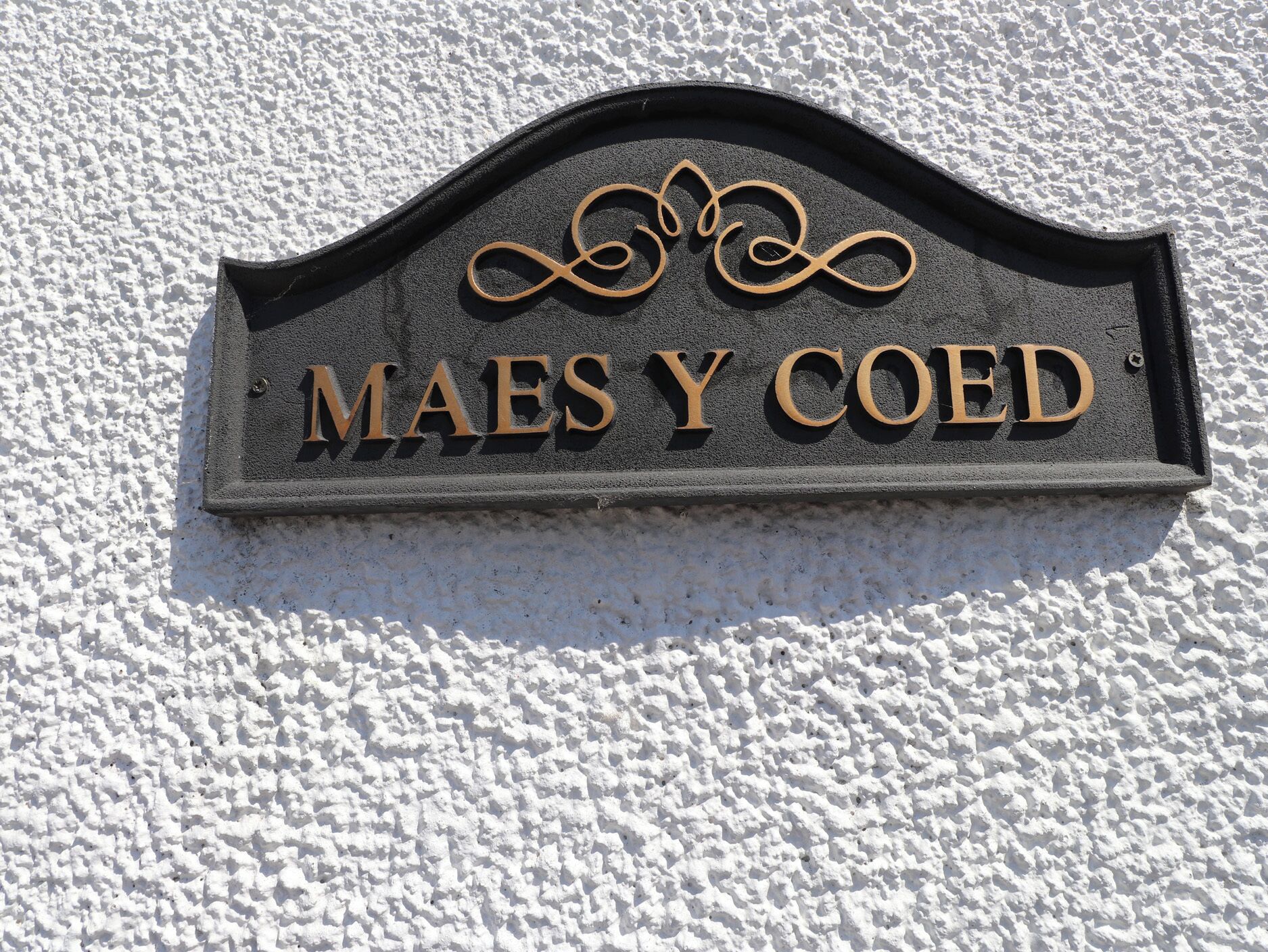 A sign with the text 'MAES Y COED' on a textured wall.