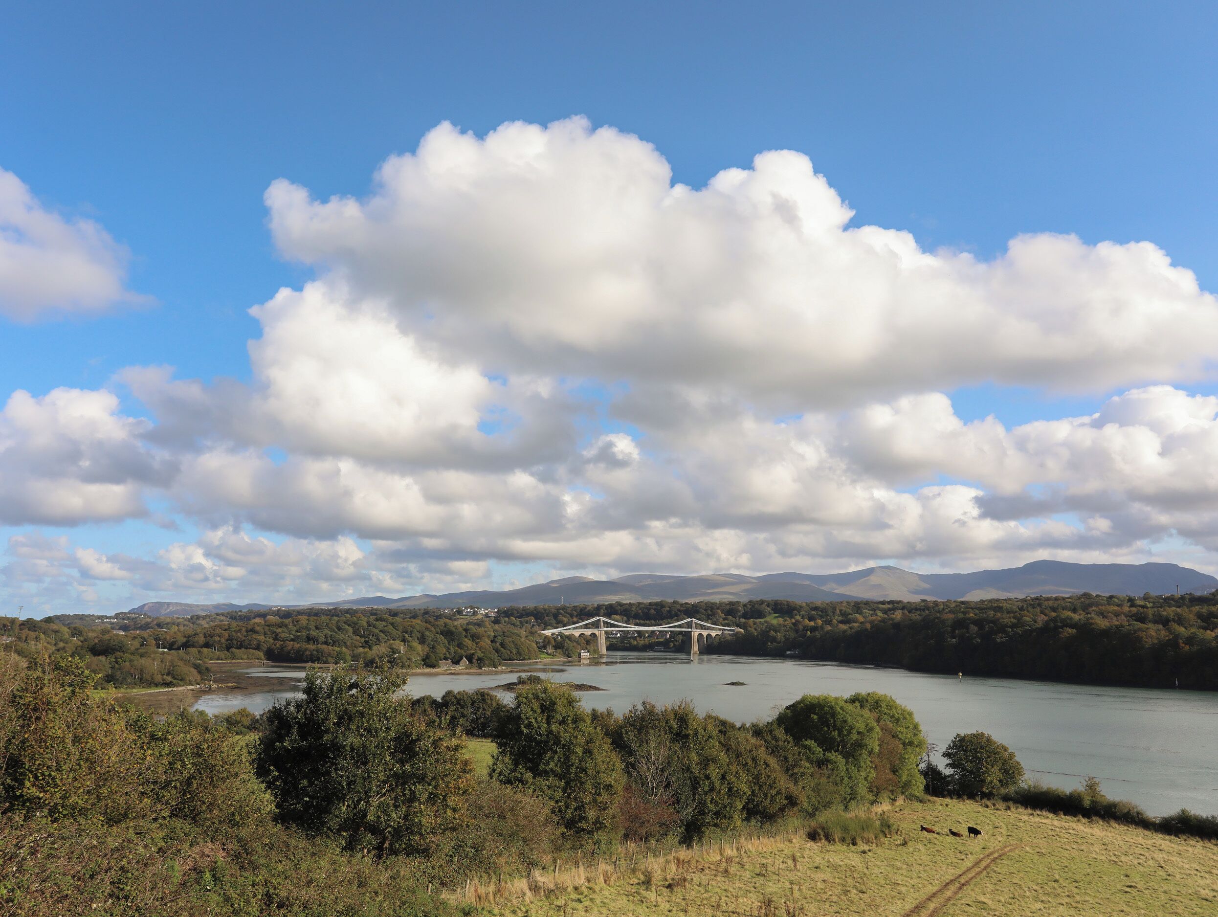 A scenic landscape with a river, a bridge, and mountains in the background.