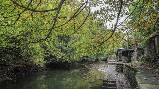 A stone bridge over a calm river, surrounded by dense green foliage.