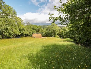 Cottage | Golf - Dingle Den (Hereford)