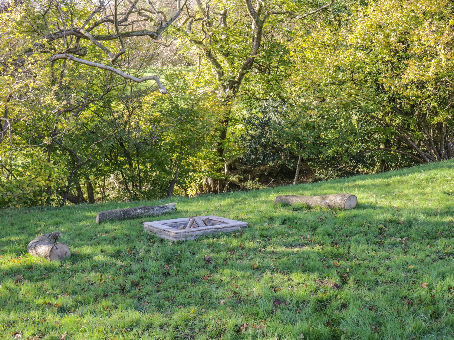 A grassy outdoor area with a stone fire pit surrounded by logs and trees.