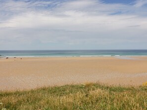 Interior - Little May (Newquay)