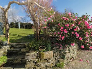 Cottage | Property grounds - Clamoak Cottage (Yelverton)