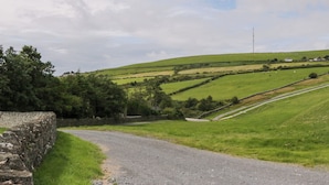 Une route de campagne sinueuse qui traverse des champs verdoyants, bordée de murets en pierre, et où lointaine se dessine une colline.