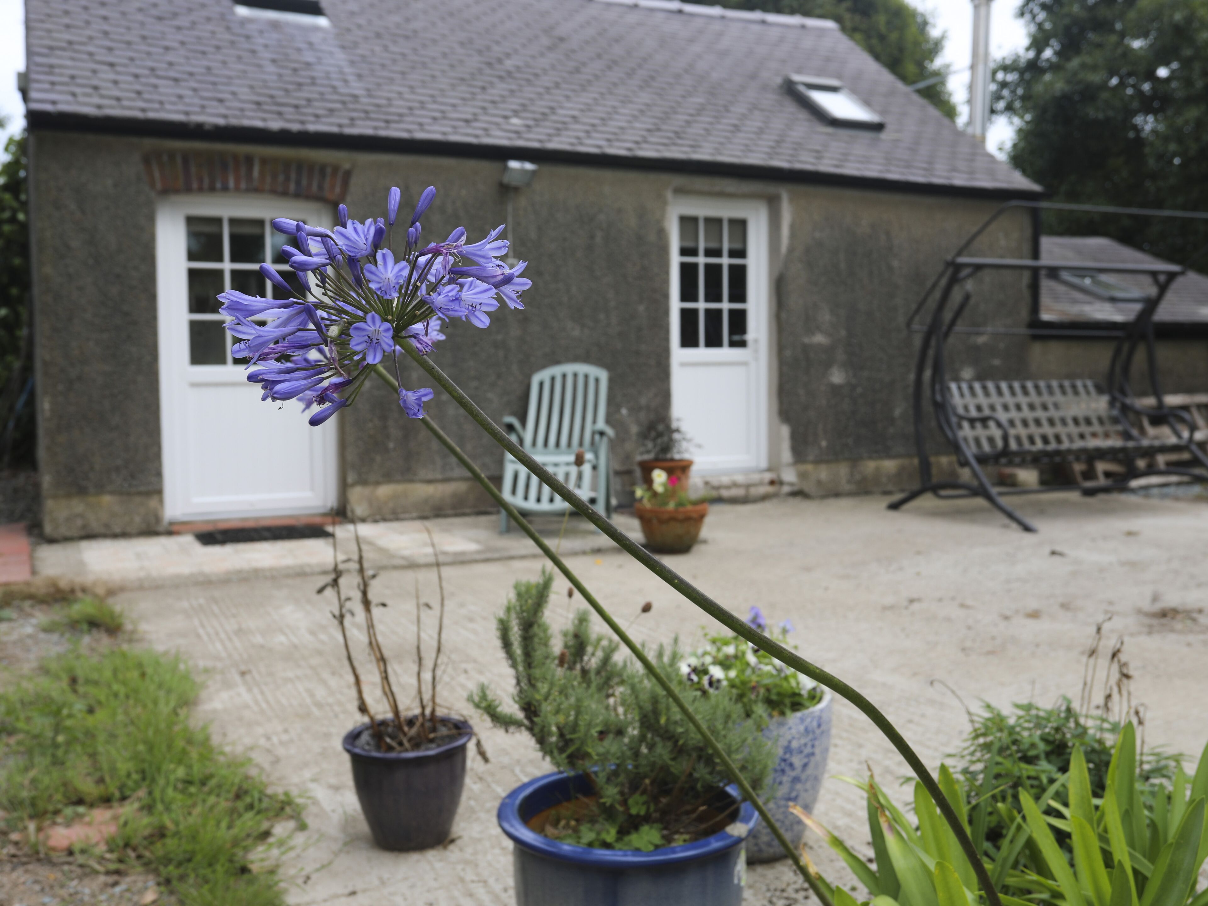 A house with a garden, potted plants, and outdoor furniture.
