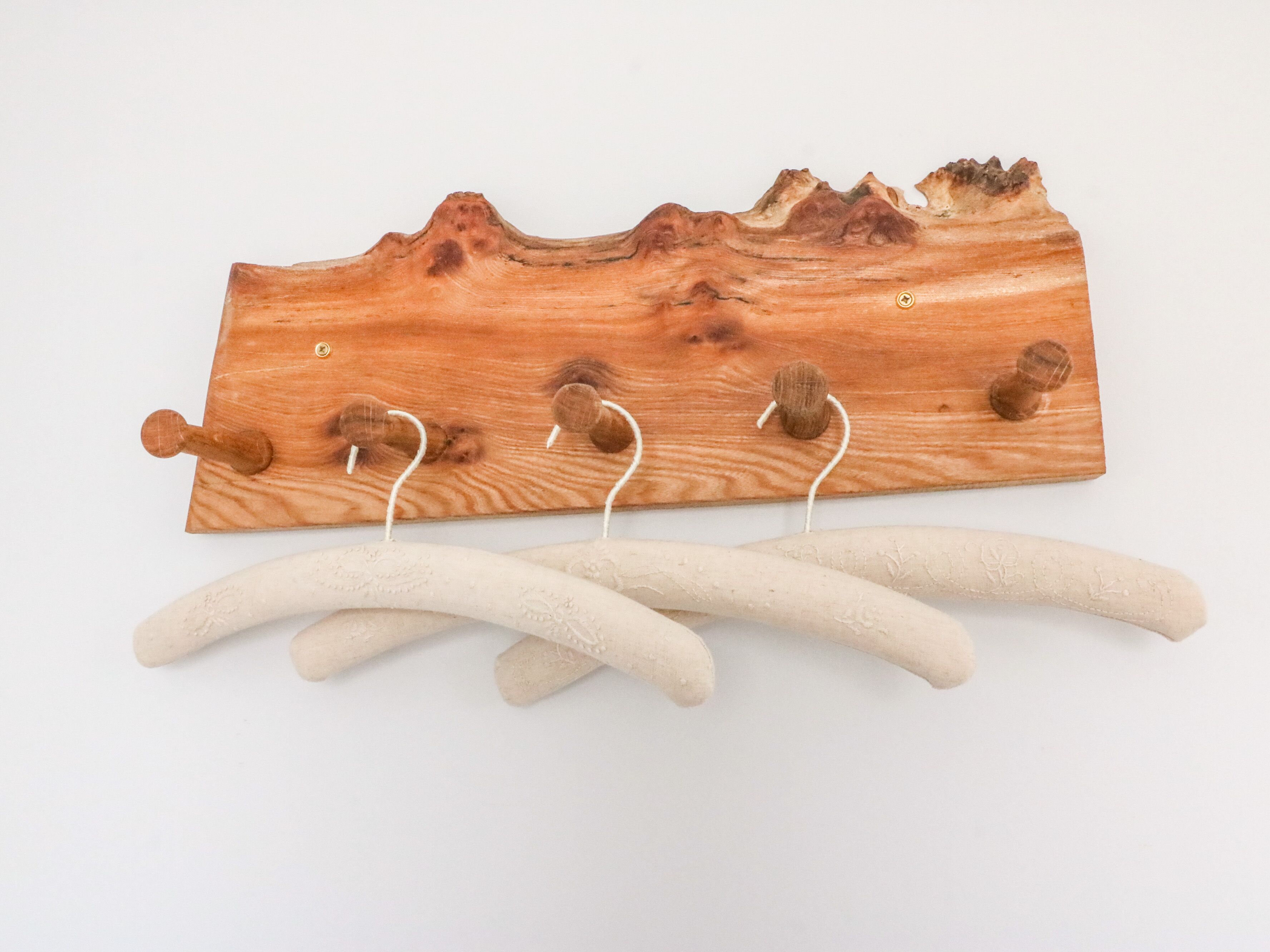 A wooden wall-mounted coat rack with hooks and a hanging rod.