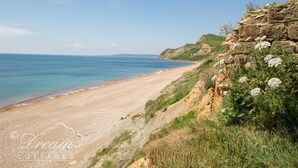 A coastal beach with a rocky cliff and greenery. - The Wave (Bridport)