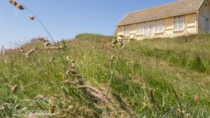 A cottage with a sloped roof, multiple windows, and a grassy field in the foreground. - The Wave (Bridport)