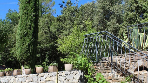 A stone staircase with metal railings leading up to a garden area with potted plants and a tall tree.