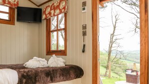 A bedroom with a bed, a TV, a window, and a view of the outdoors.