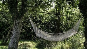 A hammock tied between two trees in a grassy area. - Valley View Farm Annexe (Lyme Regis)