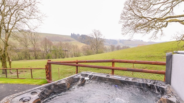 A hot tub with a wooden deck and metal railing, surrounded by a grassy field and trees.