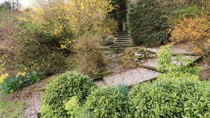 A garden with a stone staircase surrounded by various shrubs and trees.