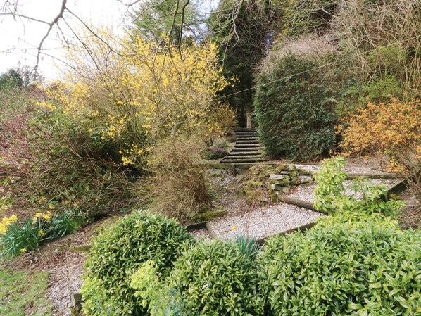 A garden with a stone staircase surrounded by various shrubs and trees. - Treboeth (Knighton)