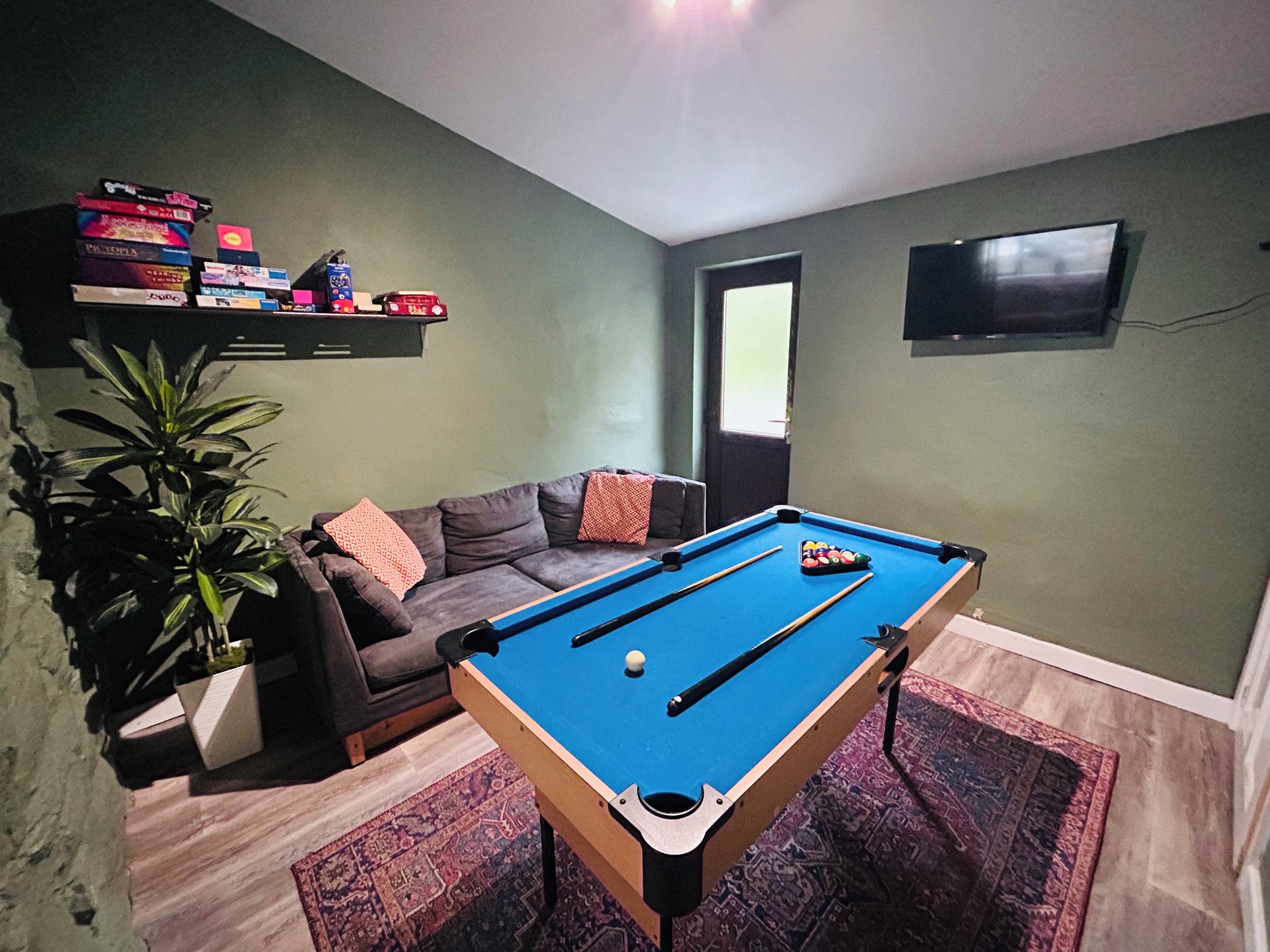 Ein Zimmer mit Billardtisch, einer Couch, einem Fernseher und einer Pflanze.