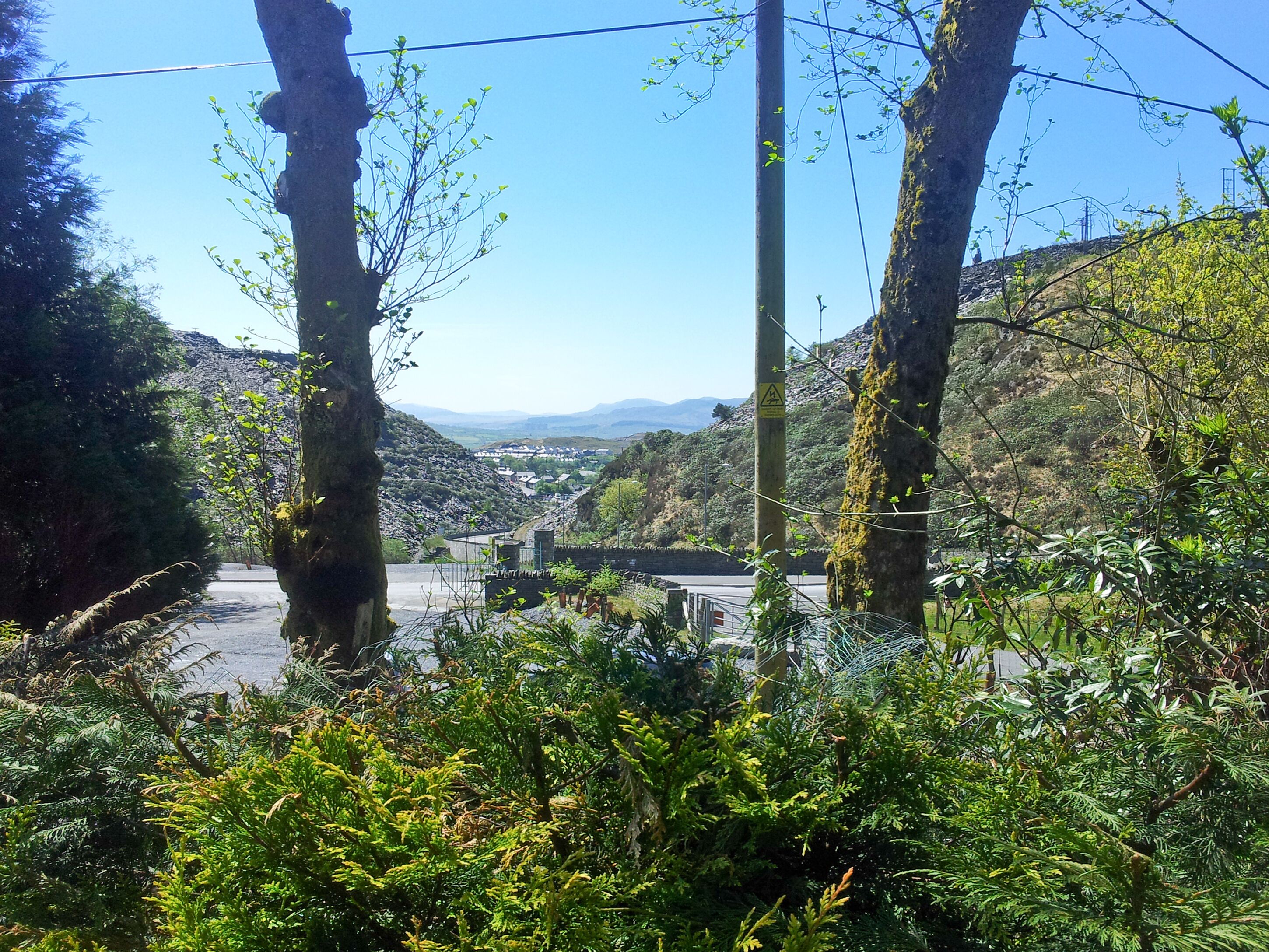 Una carretera bordeada de árboles con una vista distante de un pueblo.