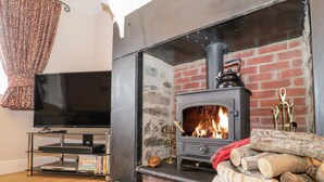 A living room with a fireplace, a television, and a bookshelf. - Hafodty (Conwy)