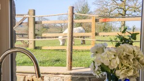 A window view of a wooden fence with a rope barrier, a white animal in the background, and a vase with white flowers on a windowsill. - Stable View Cottage (Clitheroe)