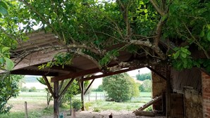 A rustic outdoor shelter with a wooden roof, surrounded by trees and a fenced area with a chicken. - La Gurlanne (Lasseran)