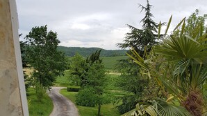 A view of a winding path through a lush green landscape with trees and a palm tree in the foreground. - La Gurlanne (Lasseran)