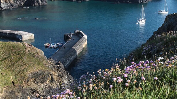 Un paisaje costero con un muelle de piedra que se adentra en aguas tranquilas, rodeado de acantilados rocosos y flores silvestres.