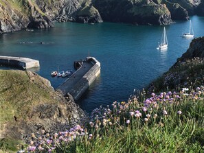 A coastal scene with a stone pier extending into calm waters, surrounded by rocky cliffs and wildflowers. - Kober House (Helston)