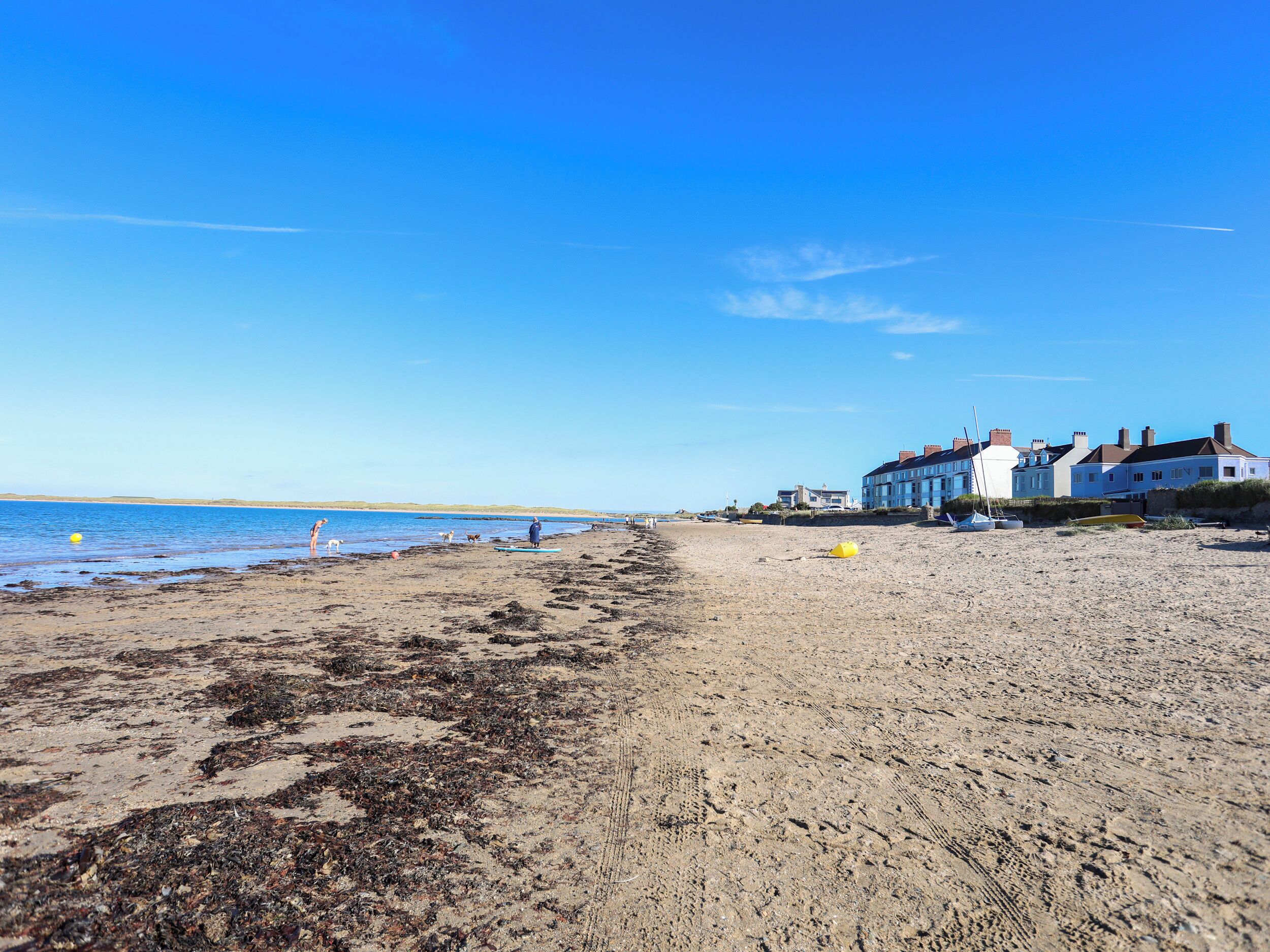 A sandy beach with a clear blue sky, a few people, and buildings in the background.